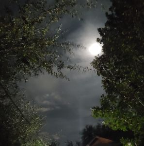 Meet your Posher, Carlos